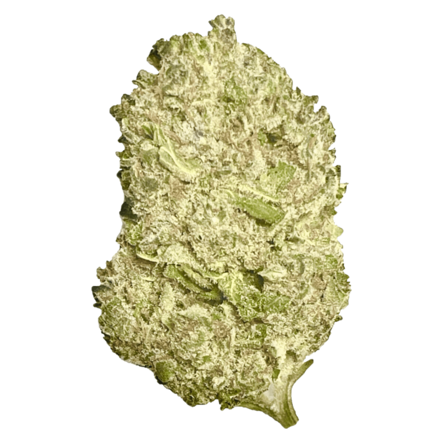 AAAA Kush